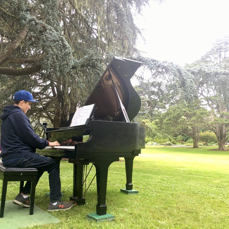 San Francisco Flower Piano San Francisco Flower Piano