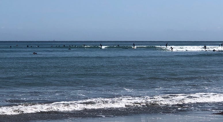 Surfers at Cowell's Beach in Santa Cruz Surfers at Cowell's Beach in Santa Cruz