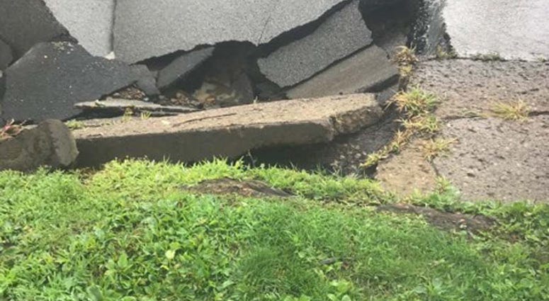 Heavy Rains Cause Sinkhole To Open Along McKnight Road Heavy Rains Cause Sinkhole To Open Along McKnight Road