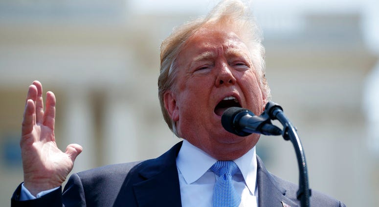 President Donald Trump DO NOT USE
