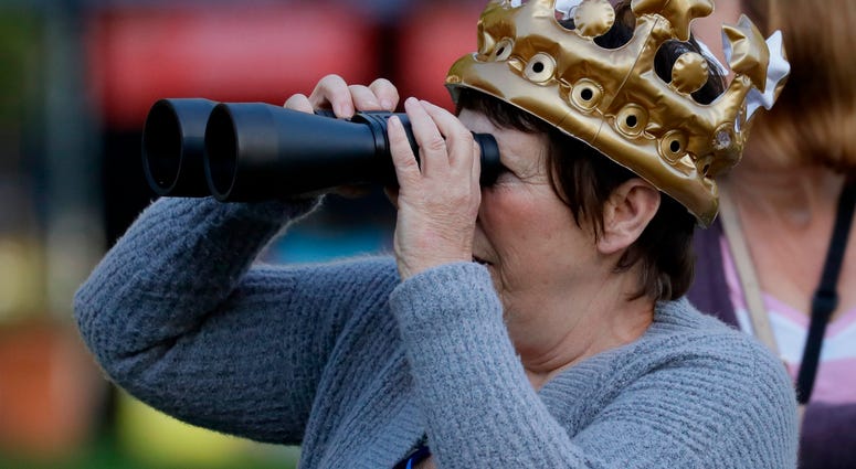 Prince Harry, Meghan Markle Royal Wedding Prince Harry, Meghan Markle Royal Wedding