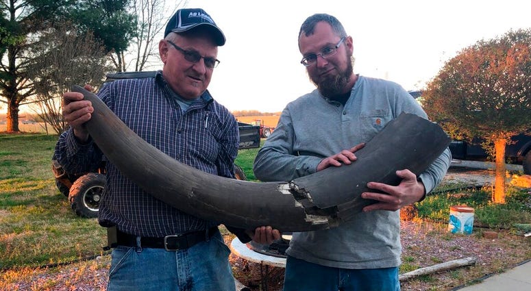 Joe Schepman, left, and his son, Brad, hold the tusk of a mastodon found on the family's property. on April 15, 2019 in Seymour, Ind. AP DO NOT USE