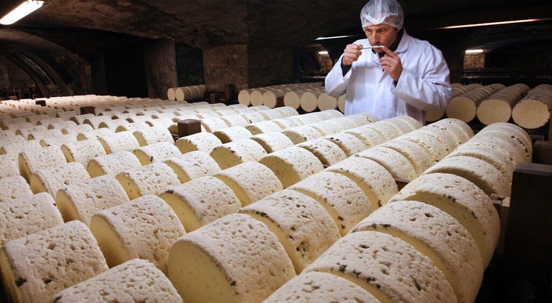 Bernard Roques, a refiner of Societe company, smells a Roquefort cheese as they mature in a cellar in Roquefort, southwestern France. Bernard Roques, a refiner of Societe company, smells a Roquefort cheese as they mature in a cellar in Roquefort, southwestern France.