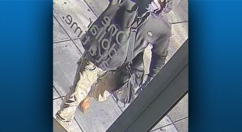 Dollar Bank Vandalism Suspect Dollar Bank Vandalism Suspect