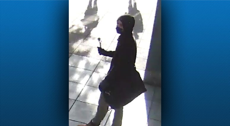 Dollar Bank Vandalism Suspect Dollar Bank Vandalism Suspect