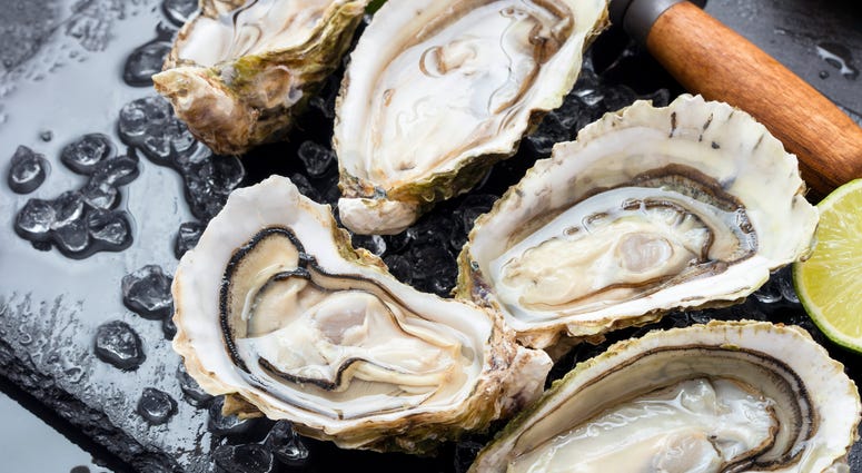Oysters Oysters