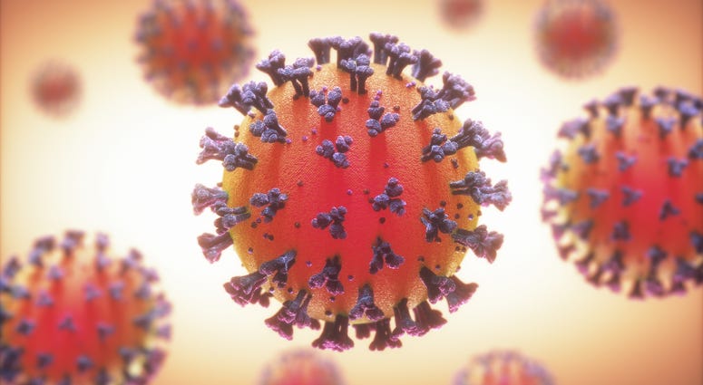 coronavirus