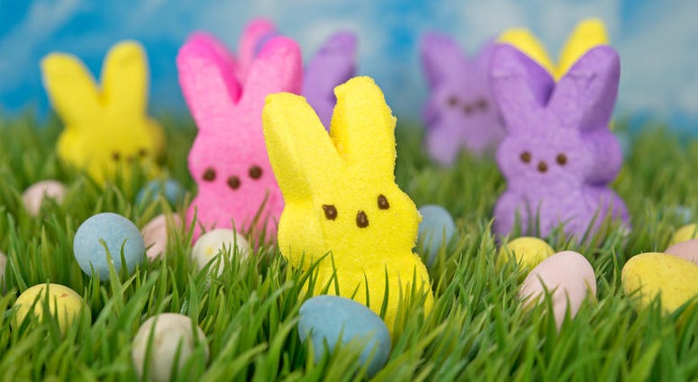 Easter Bunny Shaped Candy Easter Bunny Shaped Candy