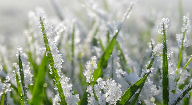 light snow on grass