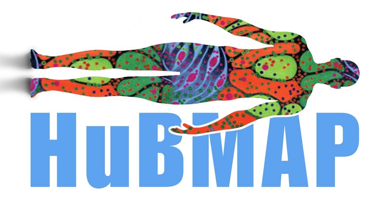 HuBMAP HuBMAP
