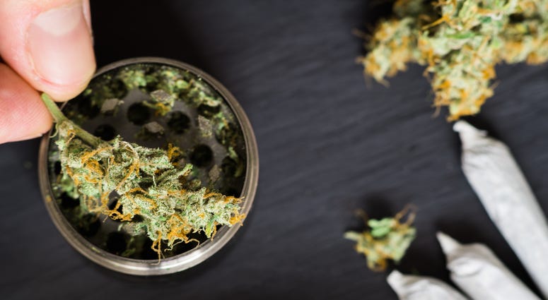 Marijuana
