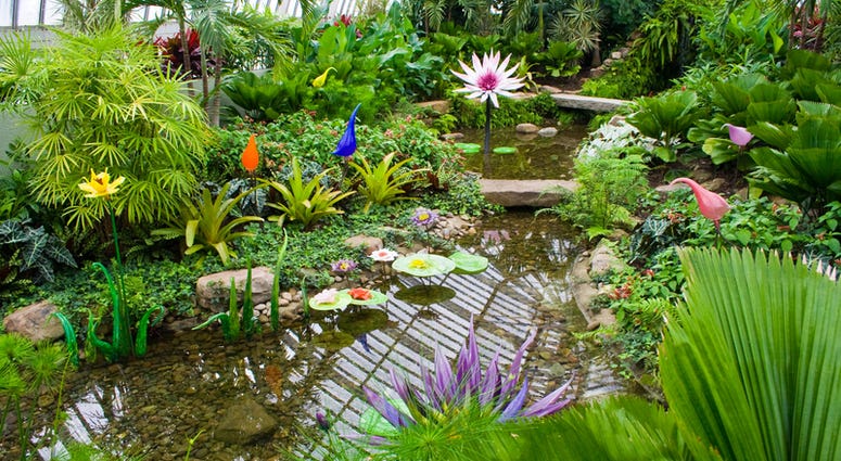 Phipps Conservatory Phipps Conservatory
