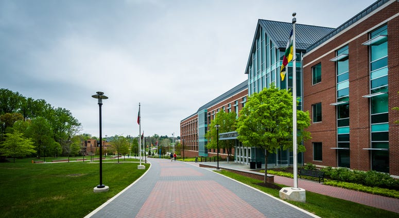 School_Campus_Towson_University School_Campus_Towson_University