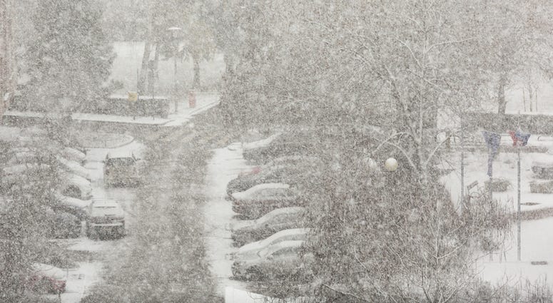 Blizzard Blizzard