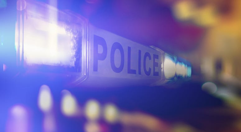 Police police