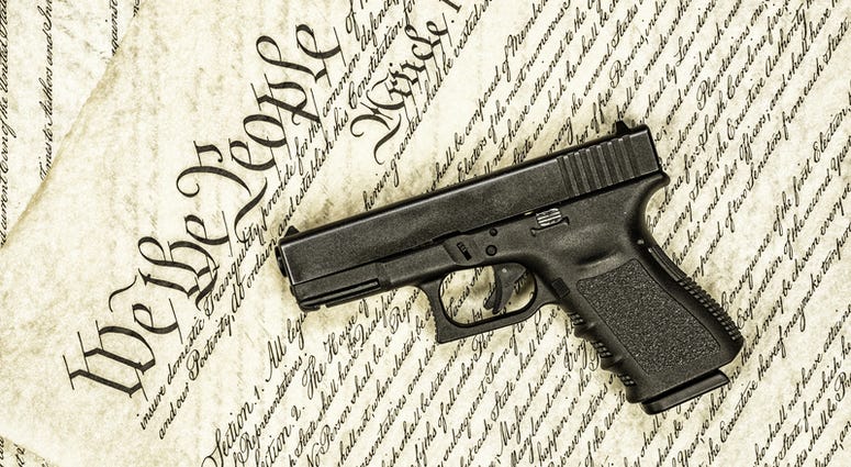 Gun Control Rights Gun Control Rights