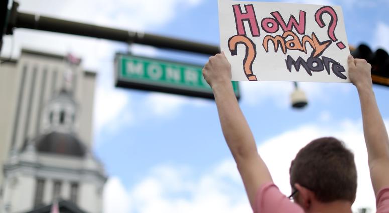 Gun Protest Gun Protest