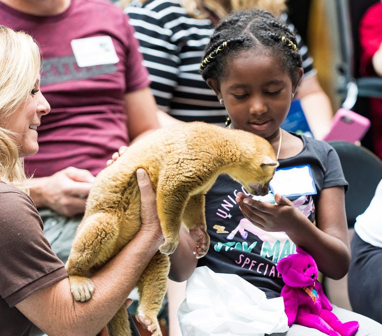 Exotic Animals Cheer Up Sick Kids at Children's Hospital Exotic Animals Cheer Up Sick Kids at Children's Hospital