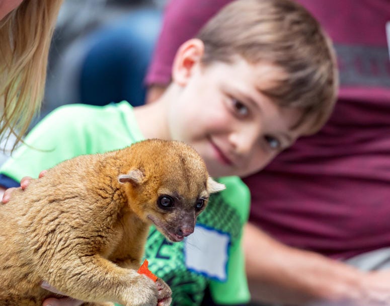 Exotic Animals Cheer Up Sick Kids at Children's Hospital Exotic Animals Cheer Up Sick Kids at Children's Hospital