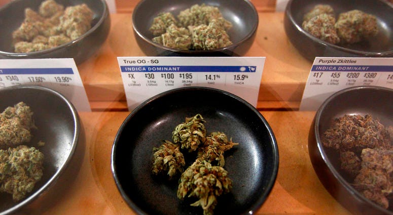 Marijuana Plants Marijuana Plant