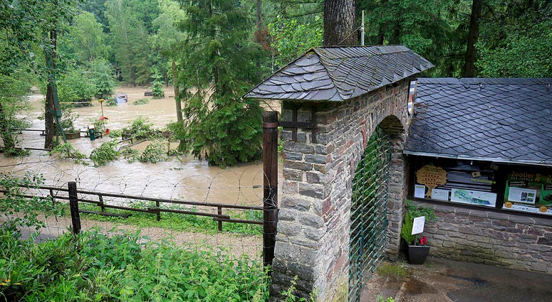The Eifelzoo in Luenebach, western Germany, is flooded on Friday, June 1, 2018. Two lions, two tigers, a jaguar and a bear broke out of their cages after heavy rain damaged their enclosure. DO NOT USE
