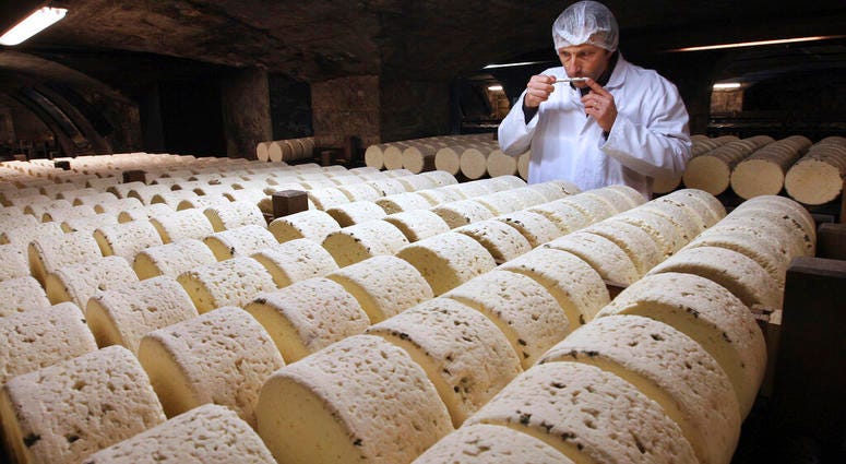 Bernard Roques, a refiner of Societe company, smells a Roquefort cheese as they mature in a cellar in Roquefort, southwestern France. Bernard Roques, a refiner of Societe company, smells a Roquefort cheese as they mature in a cellar in Roquefort, southwestern France.