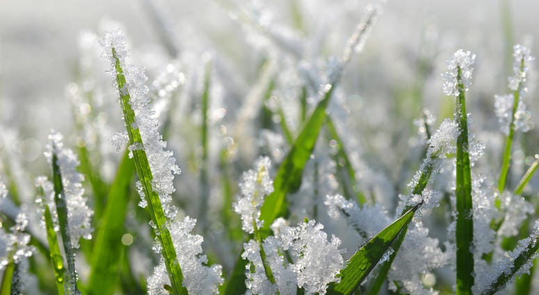 light snow on grass