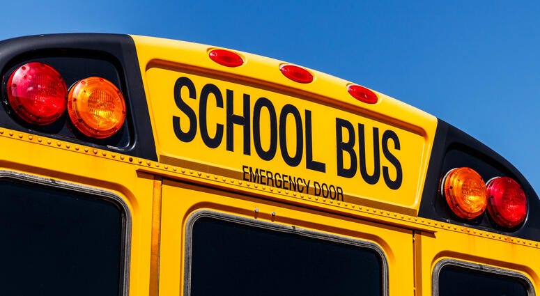 School bus School bus