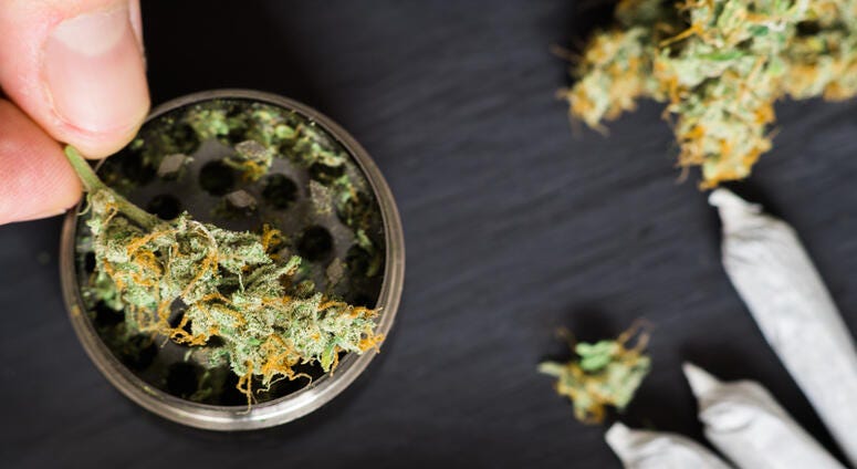 Marijuana