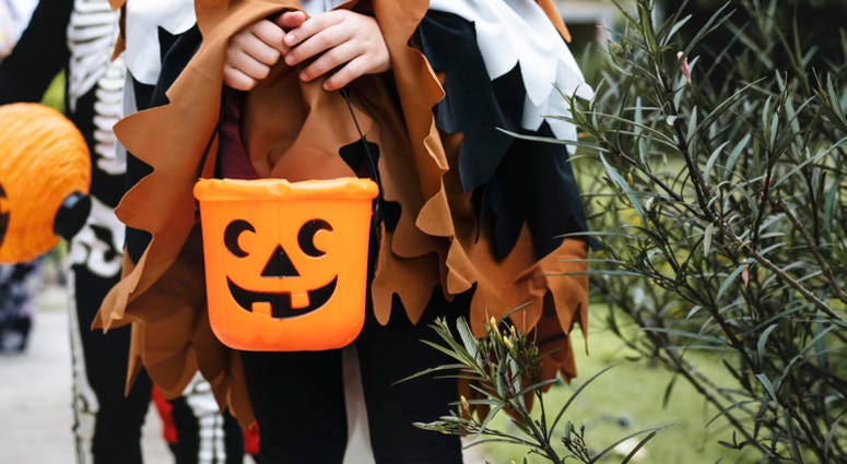 Trick_Or_Treat_Bag Trick_Or_Treat_Bag