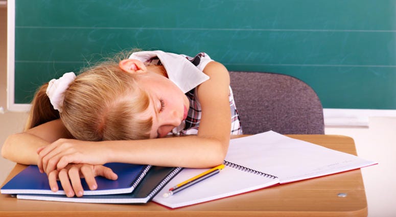 Sleeping Schoolchild Sleeping Schoolchild