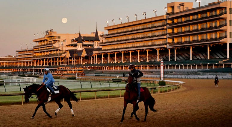 Horses at Churchill Downs Horses at Churchill Downs