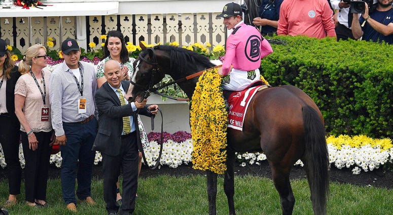 Jockey Tyler Gaffalione sits aboard War of Will as trainer Mark Casse holds the reins after winning the Preakness Stakes horse race at Pimlico Race Course, Saturday, May 18, 2019, in Baltimore. Jockey Tyler Gaffalione sits aboard War of Will as trainer Mark Casse holds the reins after winning the Preakness Stakes horse race at Pimlico Race Course, Saturday, May 18, 2019, in Baltimore.