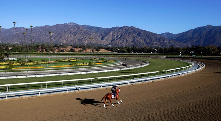 an exercise rider takes a horse for a workout at Santa Anita Park an exercise rider takes a horse for a workout at Santa Anita Park