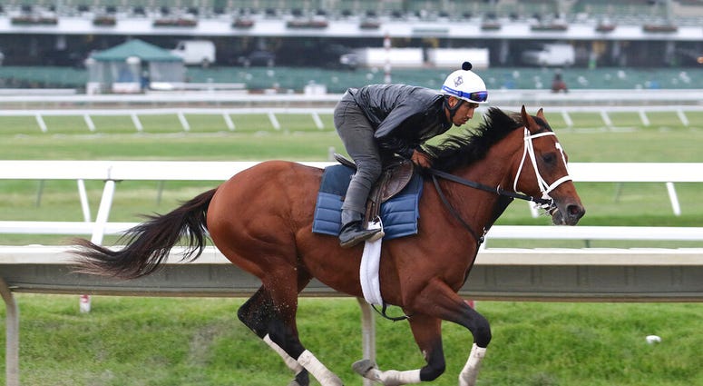 Maximum Security, ridden by exercise rider Edelberto Rivas, gallops during a workout at Monmouth Park, Thursday morning, June 13, 2019, in Oceanport, N.J. Maximum Security will make his next start in Sunday's $150,000 Pegasus Stakes horse race at the trac Maximum Security, ridden by exercise rider Edelberto Rivas, gallops during a workout at Monmouth Park, Thursday morning, June 13, 2019, in Oceanport, N.J. Maximum Security will make his next start in Sunday's $150,000 Pegasus Stakes horse race at the trac