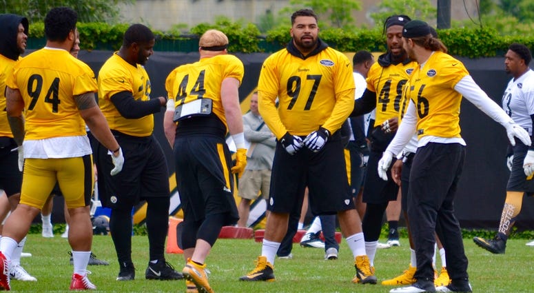 Steelers DE Cam Heyward
