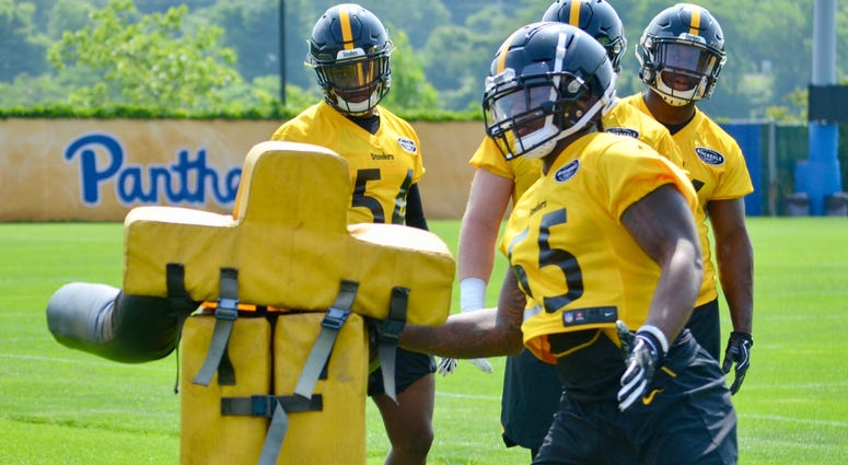 Steelers ILB Devin Bush at OTAs in 2019