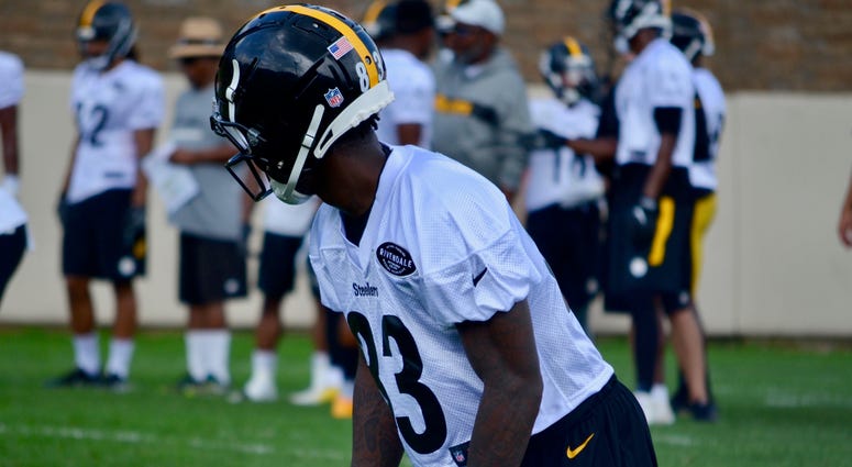 Steelers WR Damoun Patterson in 2018 training camp