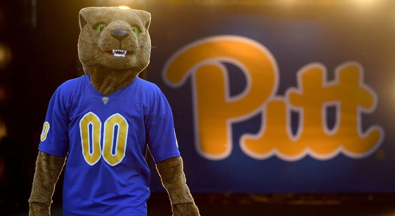 Pitt Panthers mascot "Roc" Pitt Panthers mascot "Roc"