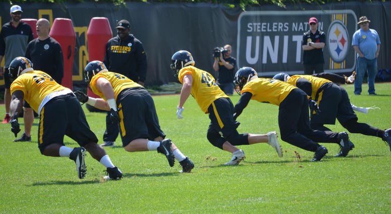 Steelers defense Steelers defense
