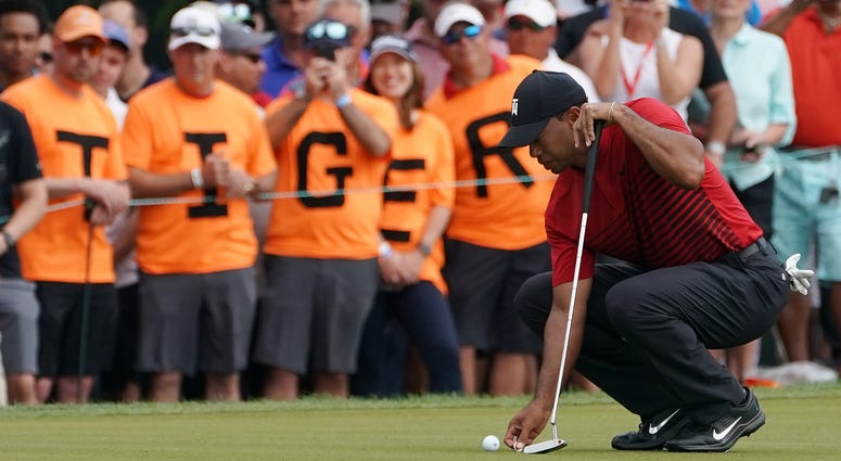 tiger woods tiger woods