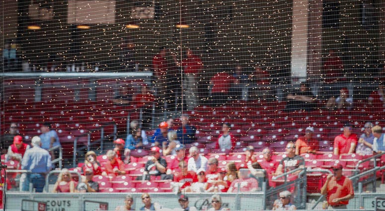 A swarm of bees delays the start of a baseball game between the Cincinnati Reds and the San Francisco Giants, Monday, May 6, 2019, in Cincinnati. AP DO NOT USE