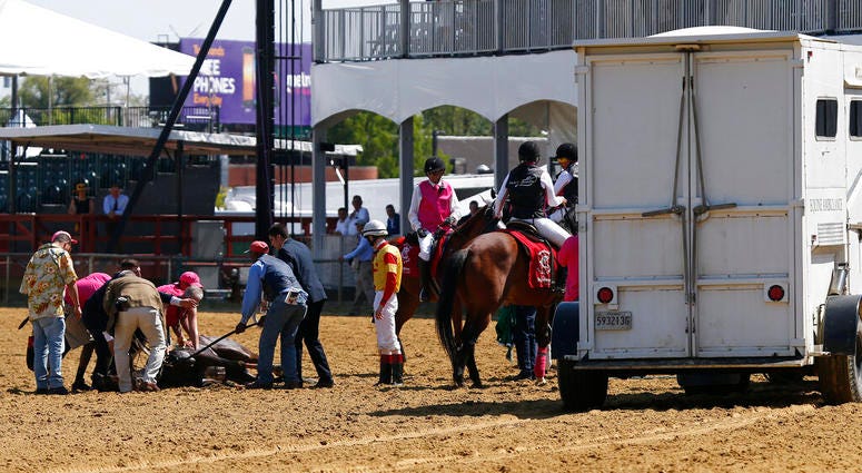 Track officials tend to Congrats Gal after the horse collapsed after the eighth horse race at Pimlico Race Course, Friday, May 17, 2019, in Baltimore. Track officials tend to Congrats Gal after the horse collapsed after the eighth horse race at Pimlico Race Course, Friday, May 17, 2019, in Baltimore.