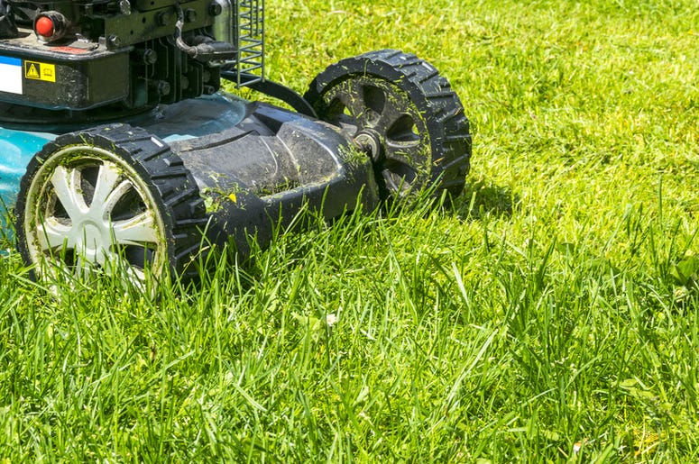 Lawn mower on green grass. Lawn mower on green grass.