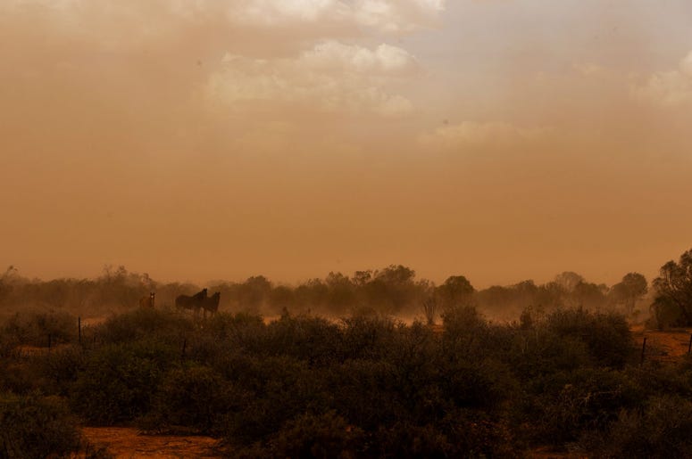 Desert Storm
