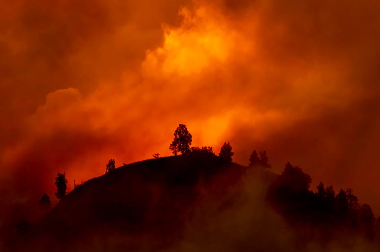 Australia Fire
