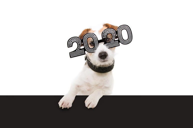 Looking forward to 2020