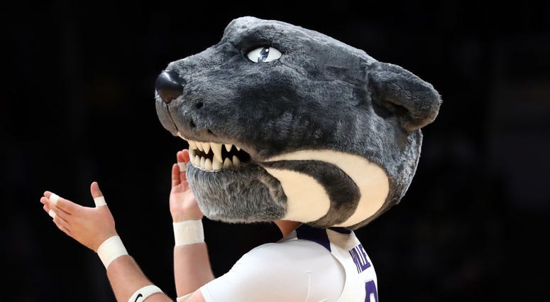 Kansas State mascot
