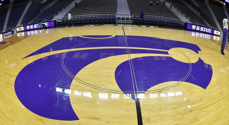 Wildcat logo