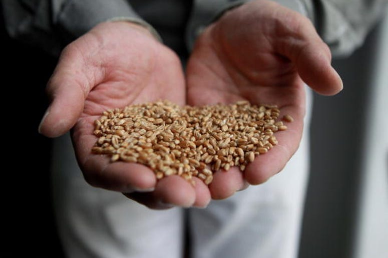 Do You Suffer From Gluten Intolerance?